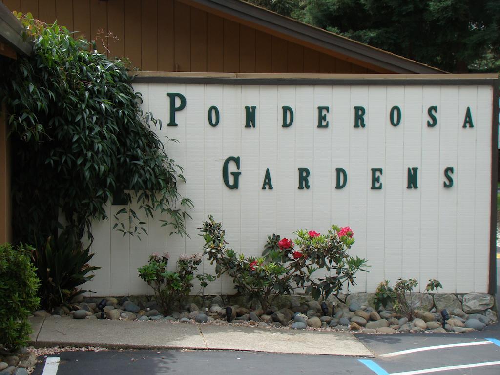Ponderosa Gardens Motel Paradise Ngoại thất bức ảnh